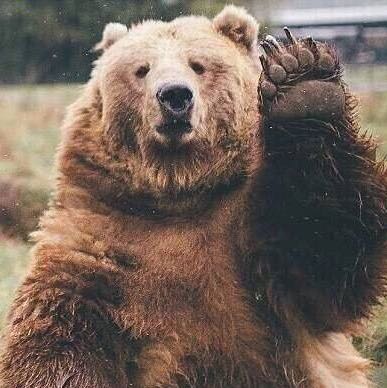 黄鑫.jpg 黄鑫.jpg